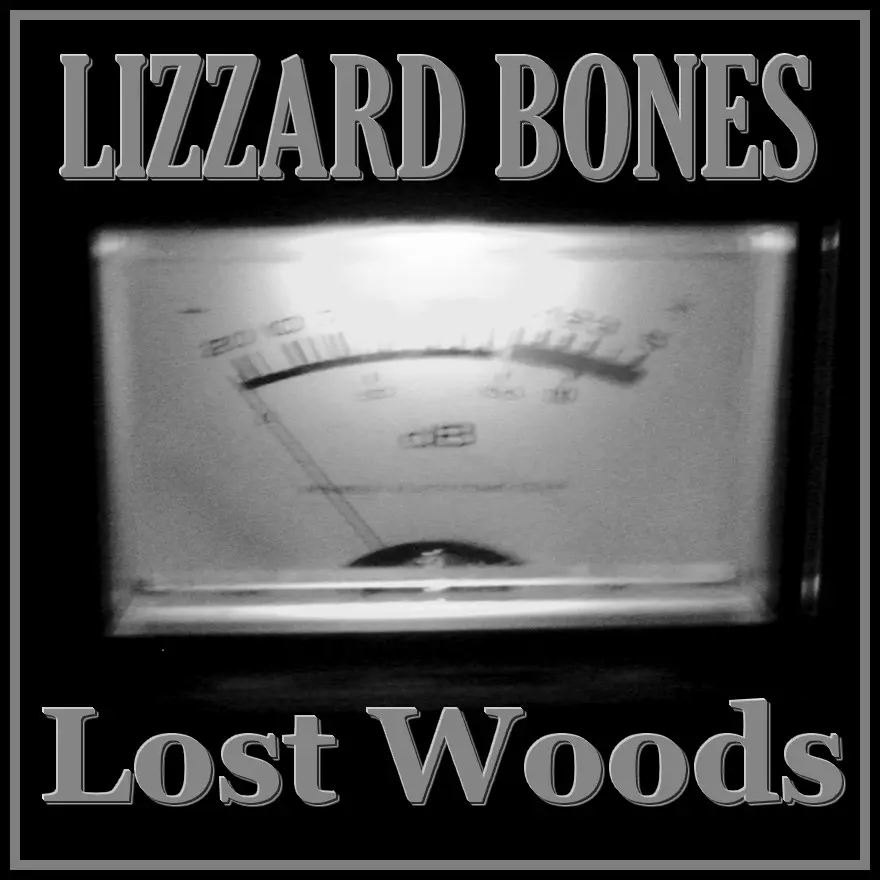 lostwoods