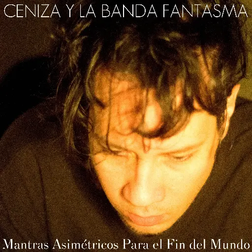 Mantras Asimétricos Para el Fin del Mundo (Digital)